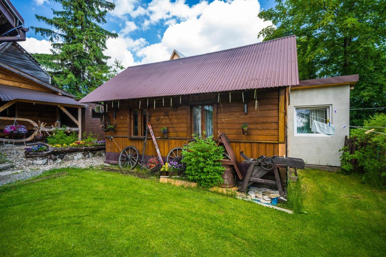 Pokoje Z Widokiem Na Gory I Prywatny Domek Z Zadaszona Altana - Grillem I Ogniskiem. Zakopane Exterior foto