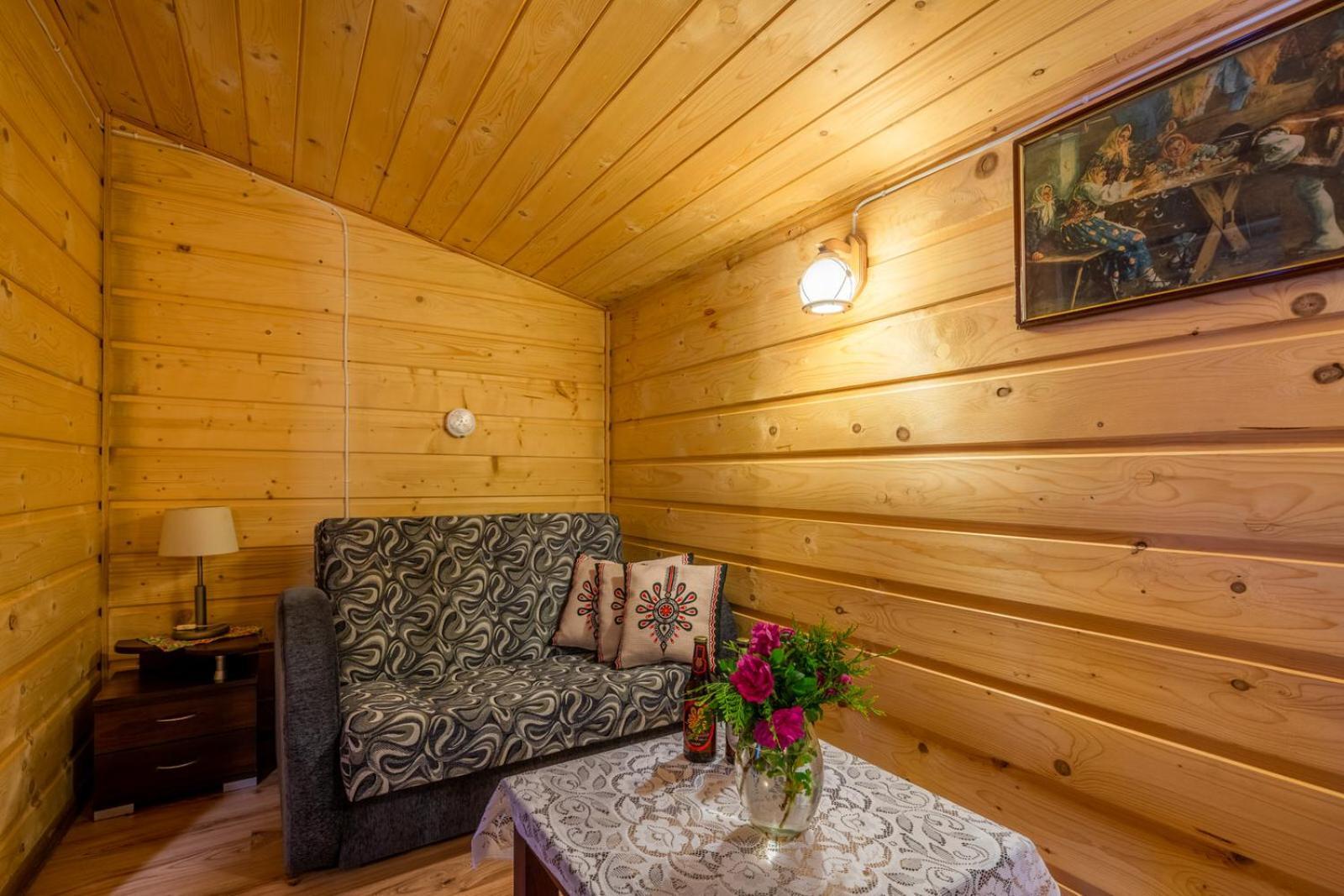 Pokoje Z Widokiem Na Gory I Prywatny Domek Z Zadaszona Altana - Grillem I Ogniskiem. Zakopane Exterior foto
